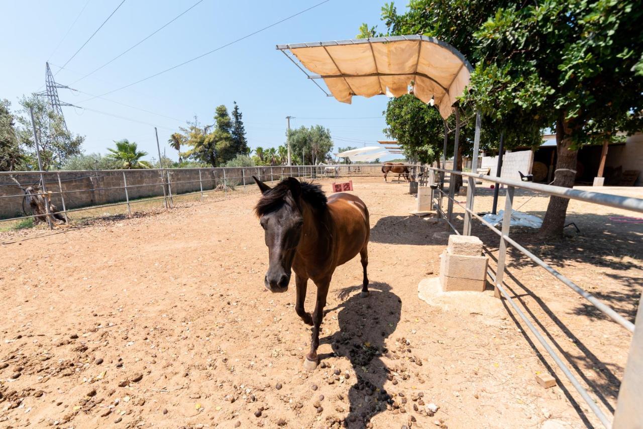 B&B Tenuta Barone Gallipoli Eksteriør billede